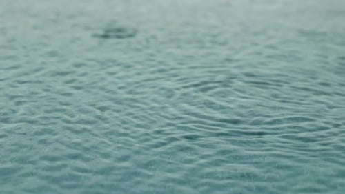 Drops of Rain Fell on the Large Puddle Strong Ripples Raindrops Closeup in Slow Motion