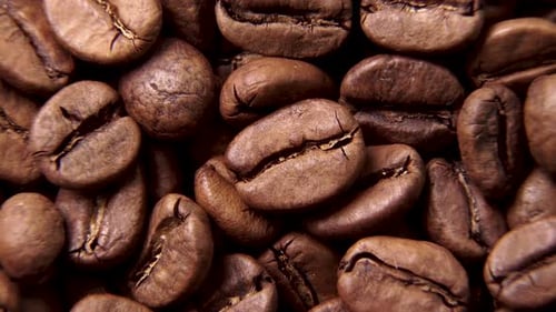 Close Up Shot of Roasted Coffee Beans