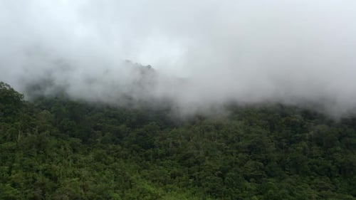 Nubes sobre el bosque y montaña vista aérea