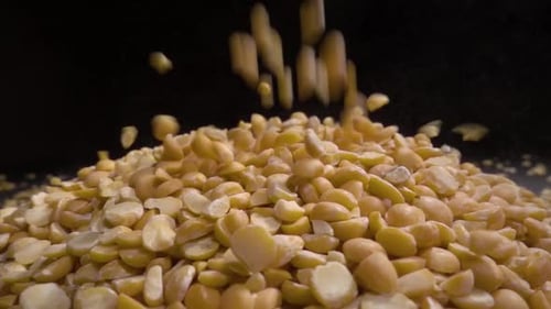Yellow Split Peas Pouring, Close Up