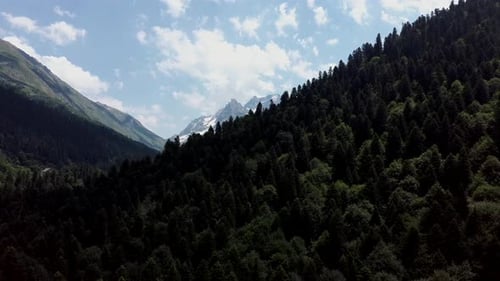 Mountain Ridge Covered with Forest Under Blue Sky