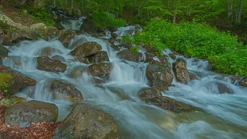 Clean Spring Water Flowing in the Highland of Kosovo