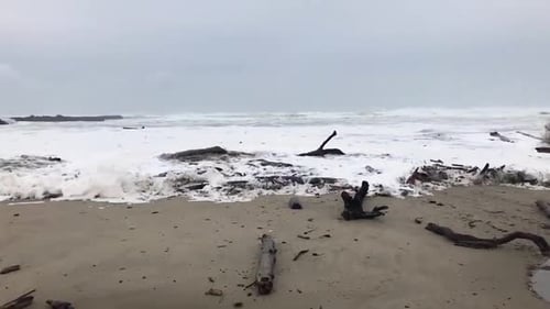 Scary slow motion footage of sudden storm surge wave coming up on shore, turning over large logs and