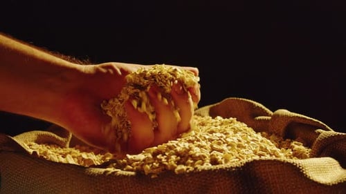 Grocery Cornflakes on Black Background Closeup