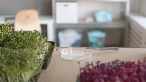 Plan de travail dans un laboratoire de biotechnique