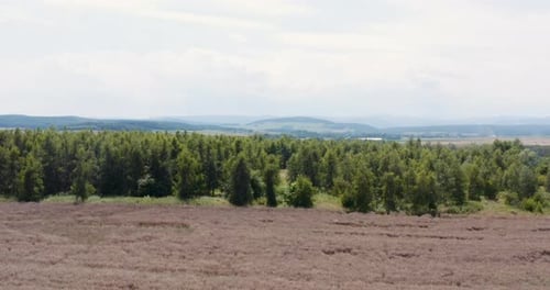 Aerial View of Farmland. Aerial View of Forest and Agriculture Fields