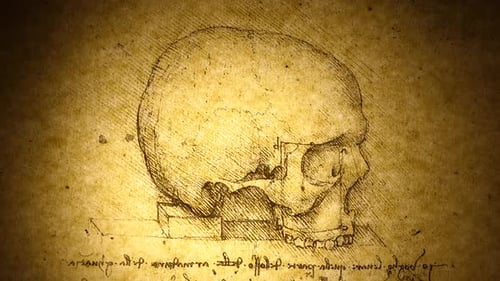 Anatomie, Kunstzeichnen
