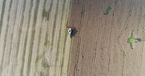 Maschinen zur Ernte von Getreide auf dem Feld