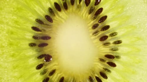 Makroaufnahme einer transparenten Kiwi-Fruchtscheibe und Drehen
