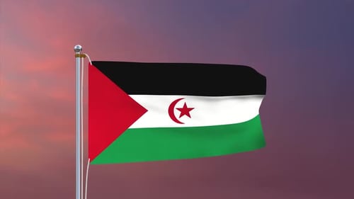 Country Flag Waving in Realistic Animation