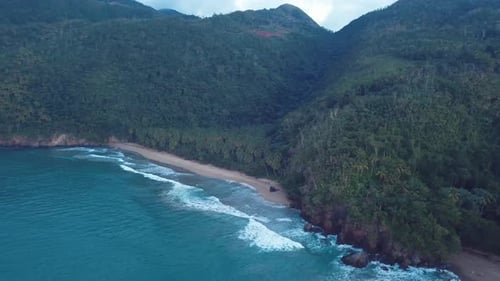 Virgin Beach With Palms In The Caribbean Look Like A Paradise