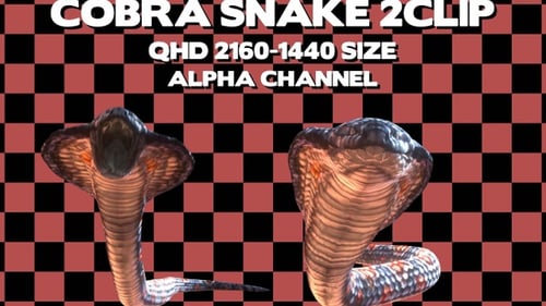 Cobra Snake 2 CLiP Qhd Alpha