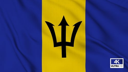 Waving Barbados National Flag Seamless Loop
