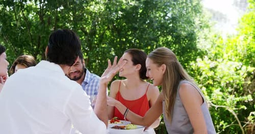 Friends Enjoying Meal Outdoors