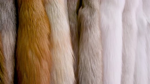 Close Up of Luxurious Fur Coats