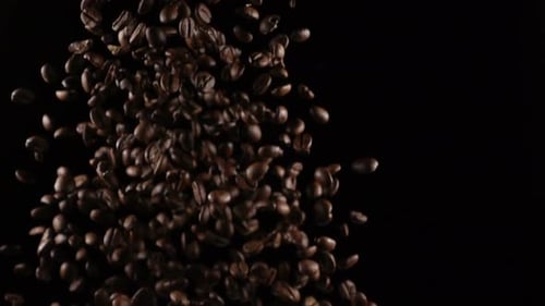 Coffee Beans in a Free Fall