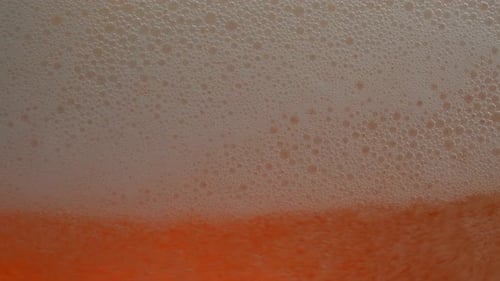 Cerveza fría y fresca 29