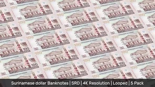 Suriname Banknotes Money / Surinamese dollar / Currency $ / SRD/ | 5 Pack | - 4K