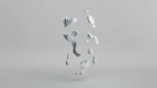 Human Face Emergence