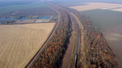 Panorama-fahrender Güterzug entlang Eisenbahnschienen Bäume Landwirtschaftliche Felder