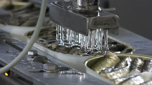 Canned Fish Automated Filling Line