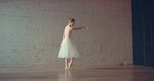 Beautiful Young Ballerina Dancing in the Studio