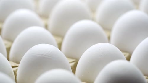 Close Up of Fresh White Eggs in Carton
