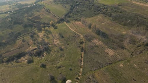 Vista aérea del campo con campos de cultivos y bosques de pinos en primavera