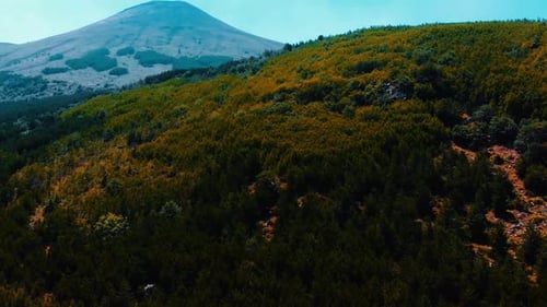 Bosques y colinas