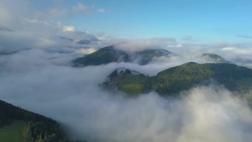 Luftbild über Wolken im Wald