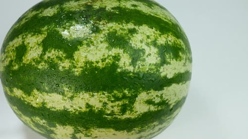 Appetizing Green Watermelon