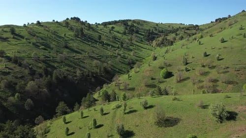 Vue Aérienne D'une Vallée Boisée Et Verte