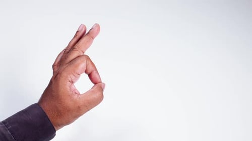 Hand Gesture Finger A Ok