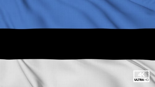 Realistic Seamless Loop of Estonia National Flag Waving