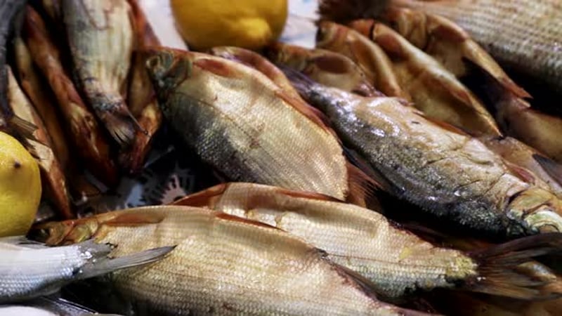 Artistic Blue Fish with Red Fins Swimming Loop, Backgrounds Motion ...