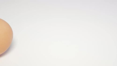 Rotating Chicken Egg on White Background Close Up