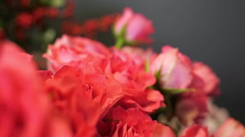 Bündel frischer roter Rosen in Vasen beim Floristik-Workshop