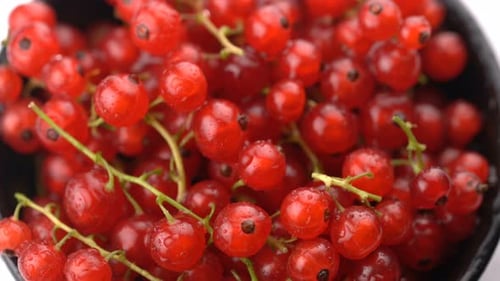 Fresh Red Currants in Bowl Close Up