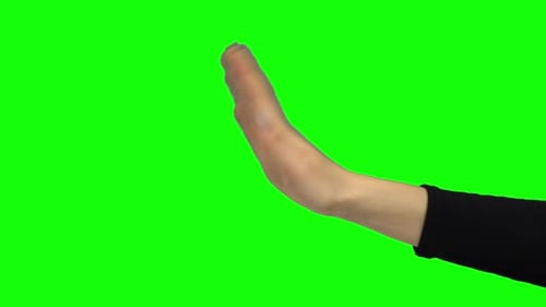 Arm in Black Blouse Gesturing Stop