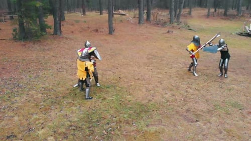 Armored Figures Fighting in Rural Forest