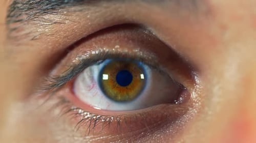 Extreme Close Up of Human Eye Blinking
