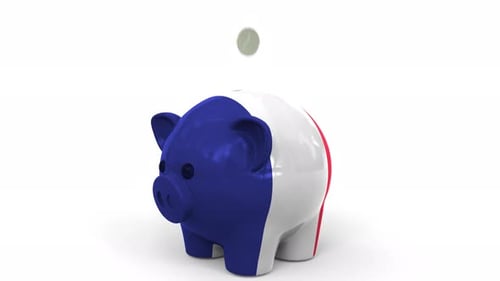 Coins Fall Into Piggy Bank Painted with Flag of France