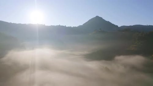 Luftaufnahme von oben auf Wald, Bäume und grüne Berghügel mit Meeresnebel
