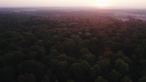 Autumn Misty Forest in the Rays of the Rising Sun