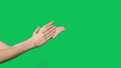 Hands Are Clapping on Green Screen Background. Female Hands Silhouette Clapping on a Chroma Key