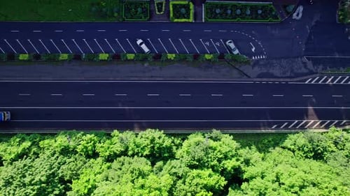 Saftige grüne Wälder auf beiden Seiten der Straße