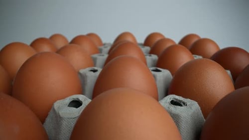 Raw Eggs 07