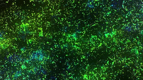 Green Liquid Toxic Substance