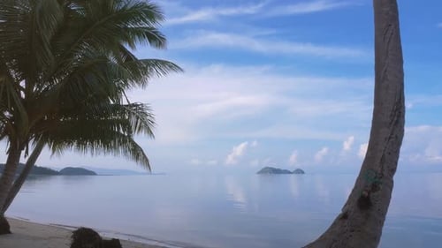 Tropical Palms, Sea and Beach Camera Movement