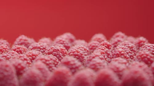 Close Up Rotation Raspberries on Red Background